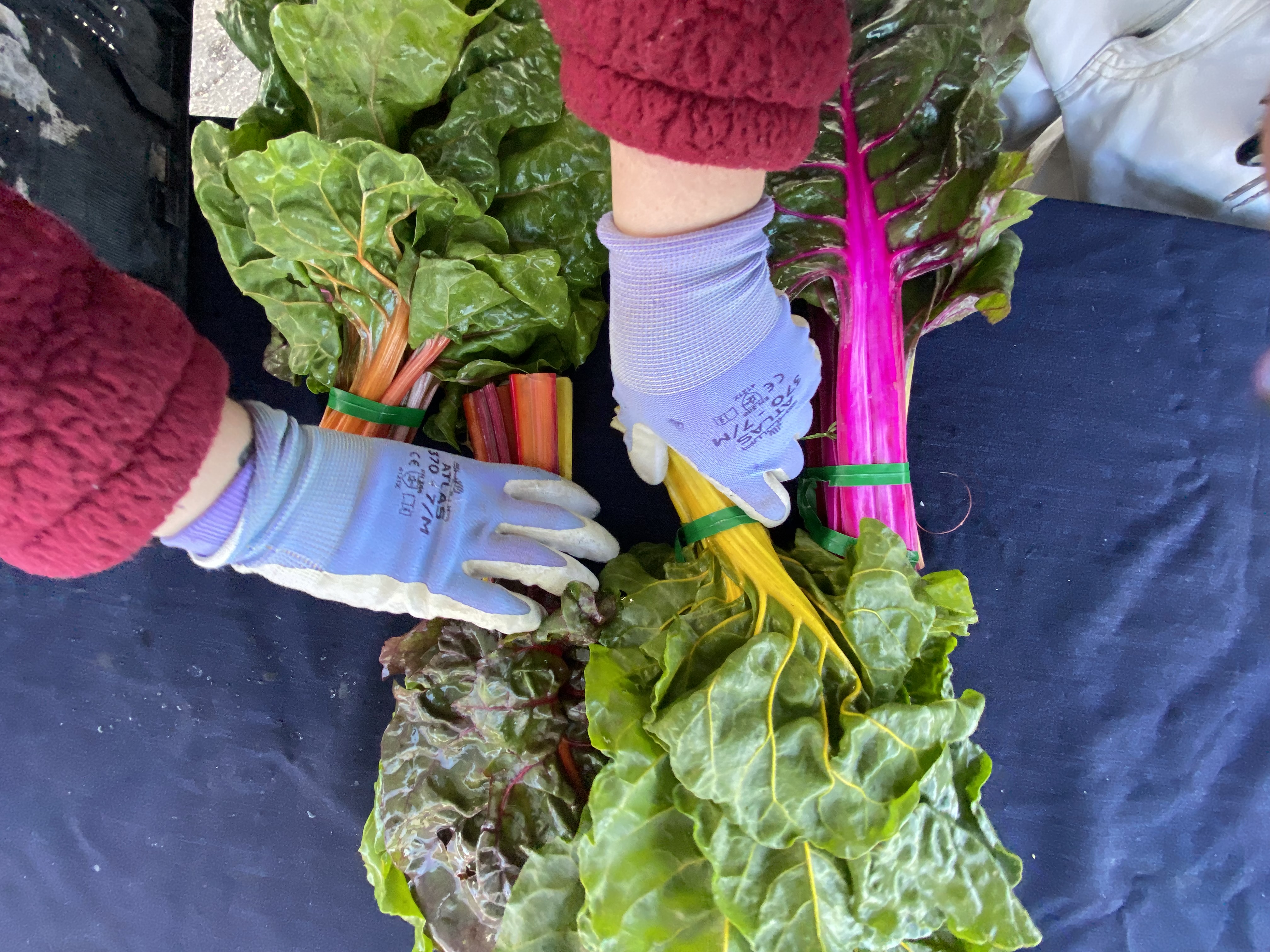 Farmers market scene 3